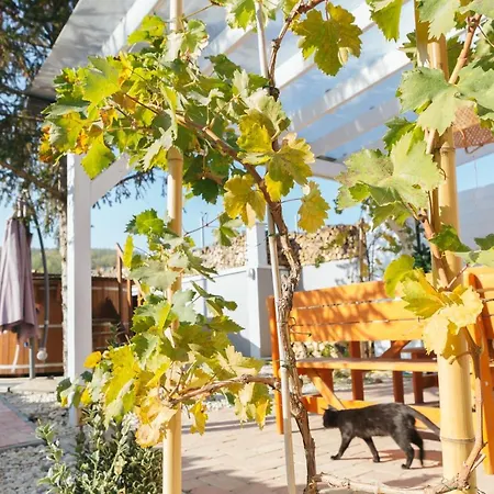 Dandelion Vendeghazak Villa Kisapati Exterior photo